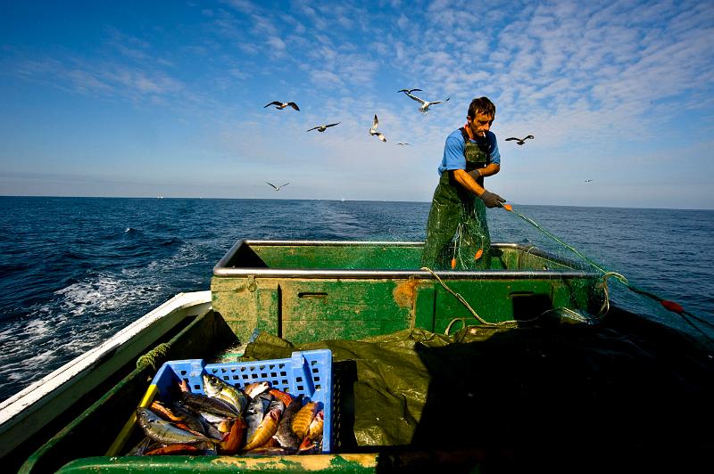 Fileyeur St Jean de Luz ae2.JPG